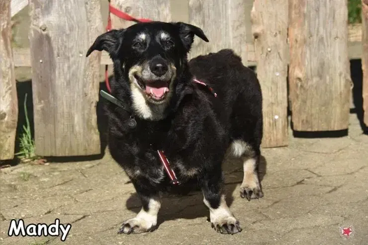 Mandy gallery image 3