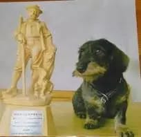 Lenz von der Birkenquelle W gallery image 2
