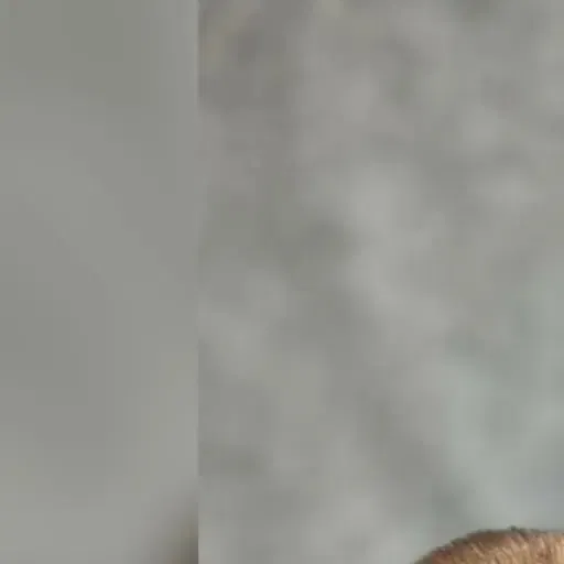 Asti gallery image 2