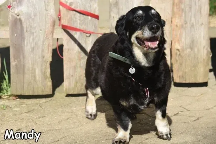 Mandy gallery image 2