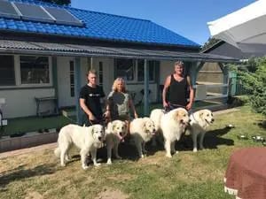 Anay vom Nienkamphof gallery image 3