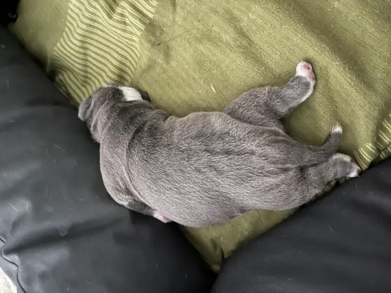 Carla gallery image 2