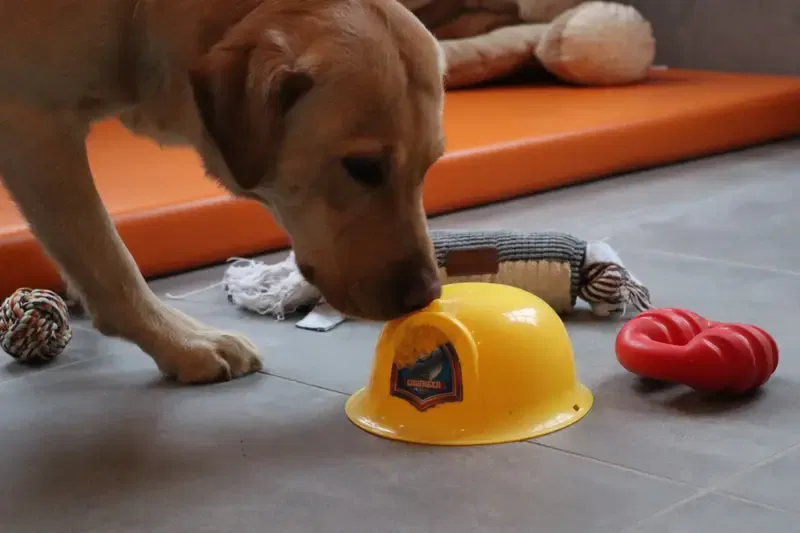 Christmas of Mustang Valley gallery image 2