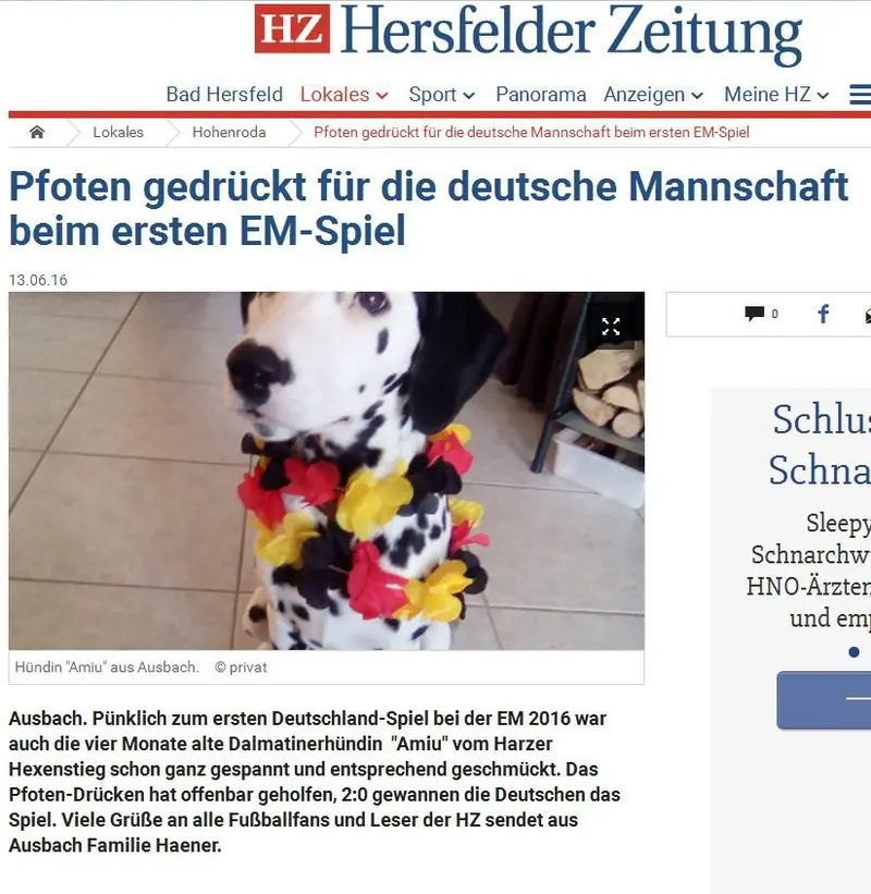 Aurelius – Dalmatiner Welpe – Bild 2