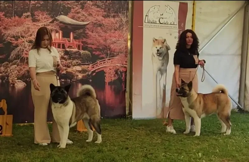 Aliens Beauty Kleopatra  gallery image 3