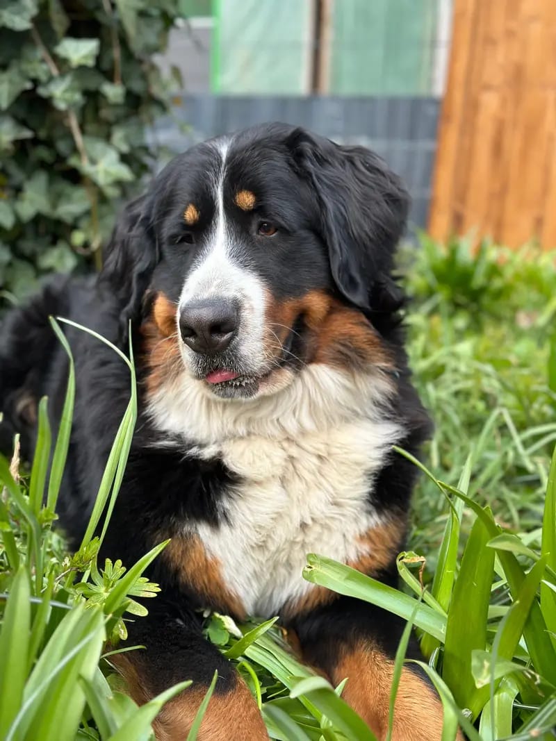 Keami vom Elsässer Mühlengraben gallery image 3