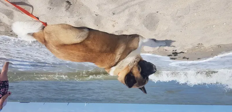 Empress Fike Enisey  gallery image 3