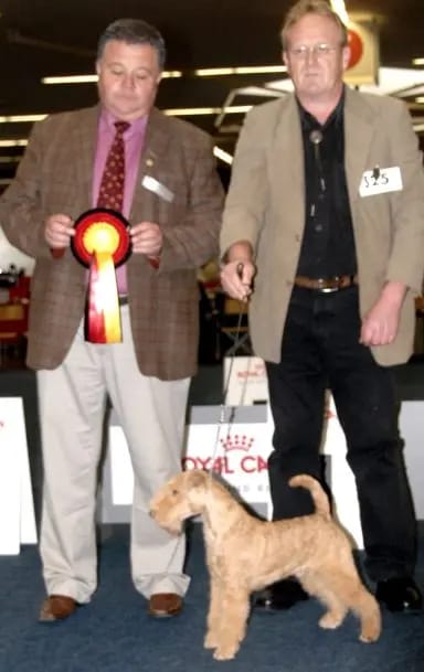 Mieth's Toby gallery image 3