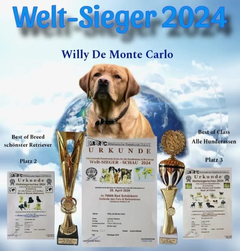 Willy De Monte Carlo gallery image 2