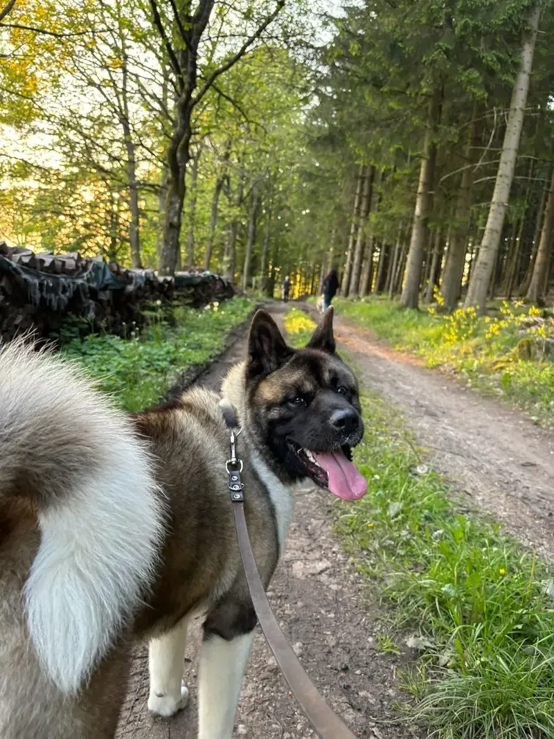 Aliens Beauty Kleopatra  gallery image 4