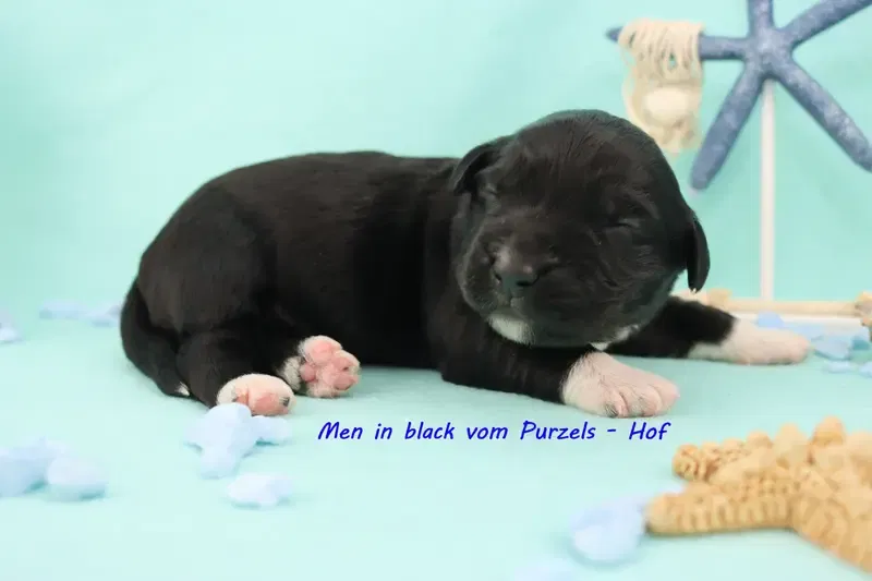 Men in black  gallery image 2