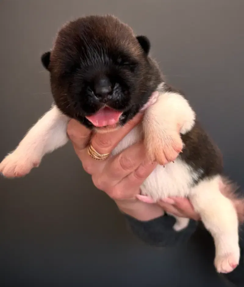 Berq gallery image 2