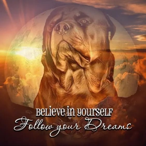 Rottweiler von Akima gallery image 3