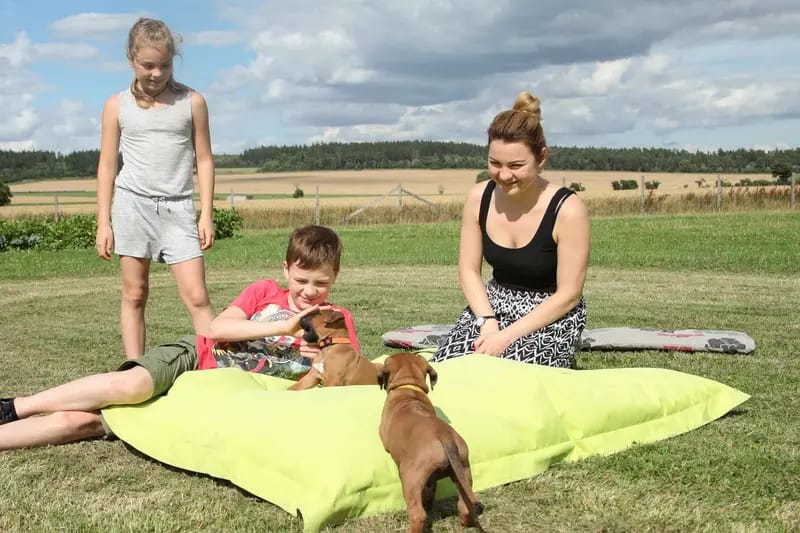 Kennel: RRR of Mombasa1 Reinrassige-Rhodesian-Ridgeback.Farm gallery image 2