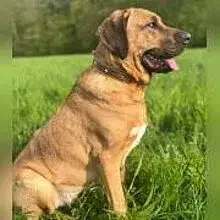 von Burg Löffelstelz cover