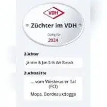 vom Westerauer Tal cover