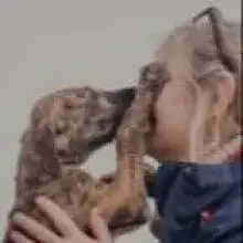 San Agustin del Guadalix cover