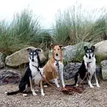 of Percys Home cover