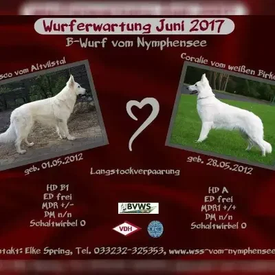 vom Nymphensee cover