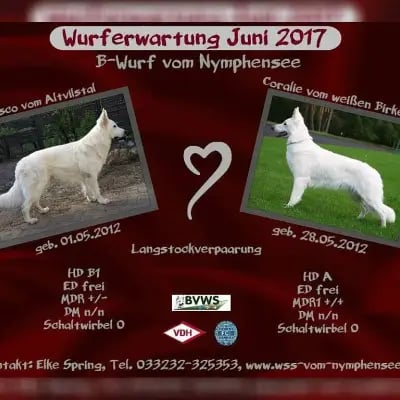 vom Nymphensee cover