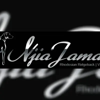 Njia Jamaa cover
