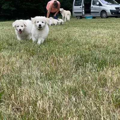 von der Hohesteige cover