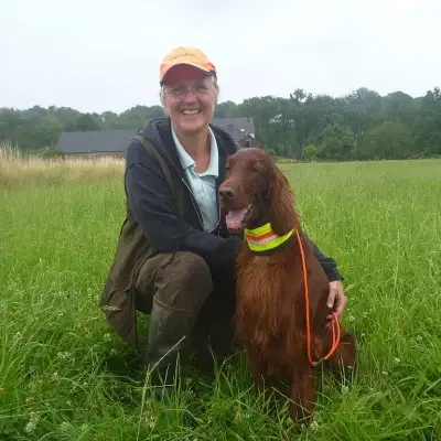 Irish Farfarello's cover