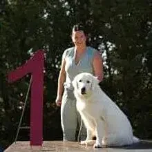 vom weißen Gefährten cover