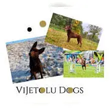 VIJETOLU cover