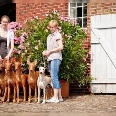 Killarney’s Heartland cover