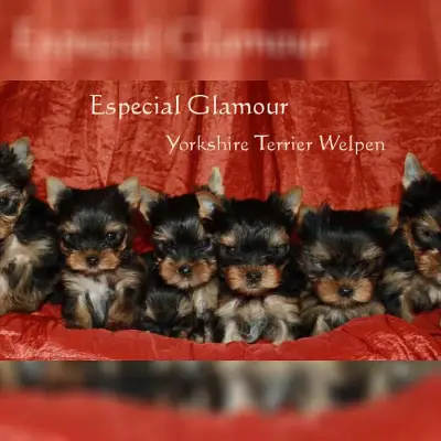 Especial Glamour cover