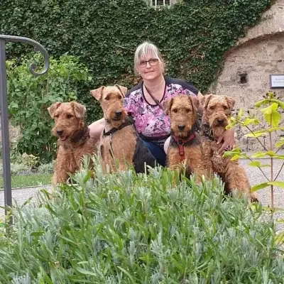 vom Schloss Bibra cover