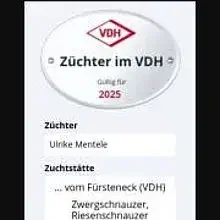 vom Fürsteneck cover