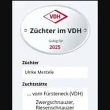 vom Fürsteneck cover
