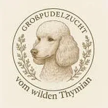 vom wilden Thymian cover