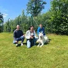 Wächter vom Eleonorenwald cover