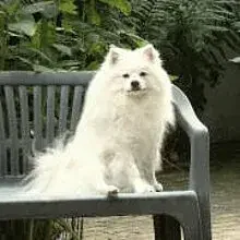 Aus dem Norden cover