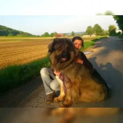 vom Freiberger Hof cover