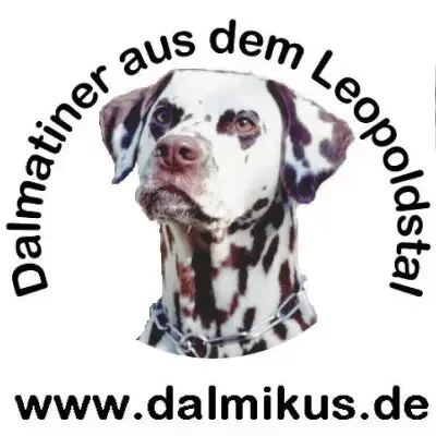 aus dem Leopoldstal cover