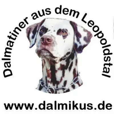 aus dem Leopoldstal cover
