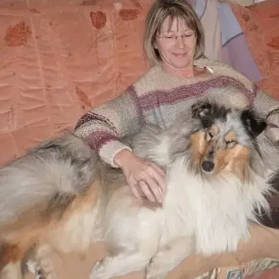 vom Lausitzer Seenland cover