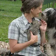 vom Therapie Hunde Hof cover