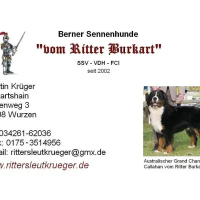 vom Ritter Burkart cover