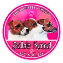 Bellalo cover