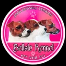 Bellalo cover