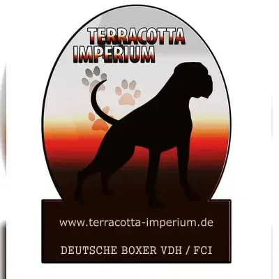 Terra-Cotta Imperium cover