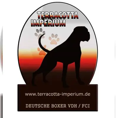 Terra-Cotta Imperium cover