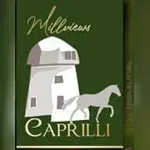 Millviews cover