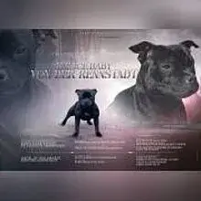 von der Rennstadt cover