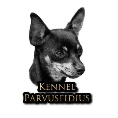 Parvus Fidius cover